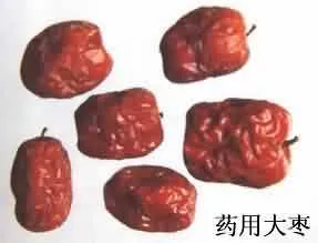 大枣(干枣、美枣，良枣，红枣)