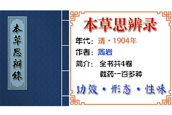 藕、鸡头实 摘自《本草思辨录》