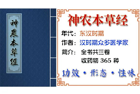 六芝（赤芝、黑芝、青芝、白芝、黄芝、紫芝） 摘自《神农本草经》