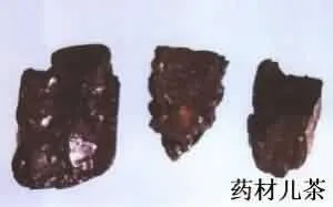 儿茶(儿茶膏、孩儿茶)