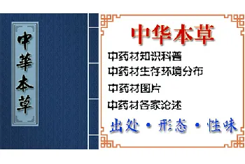 木槿花(里梅花、朝开幕落花)的功效与作用_中华本草_木槿花图片_中药材