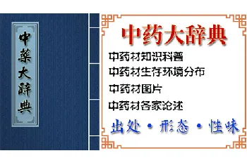 酸浆(葴、寒浆、醋浆)的功效与作用_中药大辞典_酸浆图片_中药材